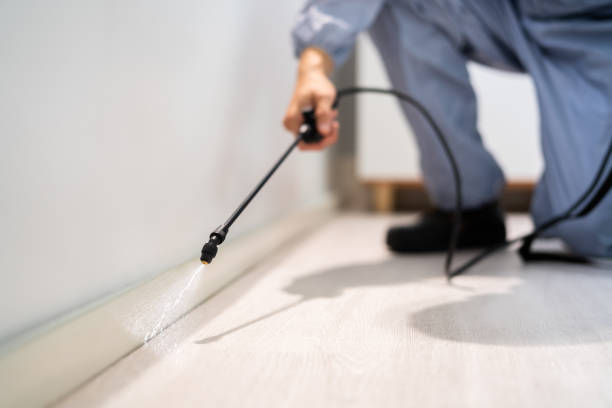 Licensed Cockroach Control service in Attica, MI - Nex Pest Control