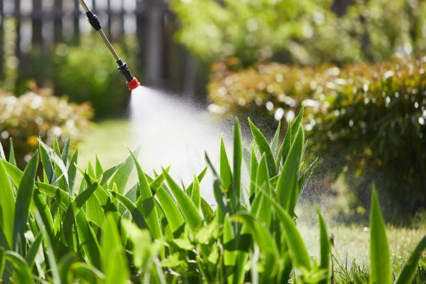 24/7 Emergency Cockroach Control experts in Attica, MI