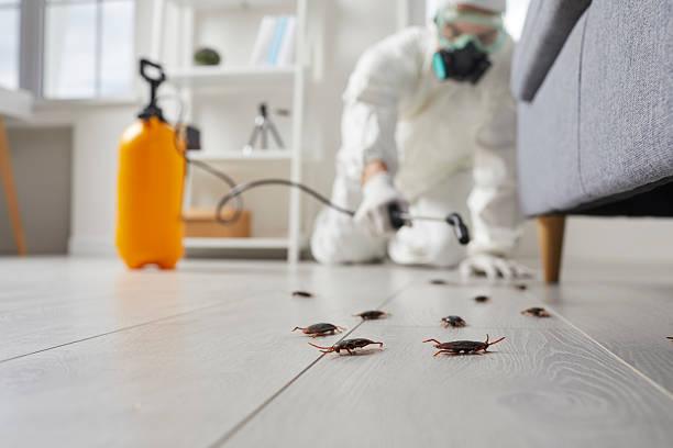 Affordable Cockroach Control solutions in Attica, MI